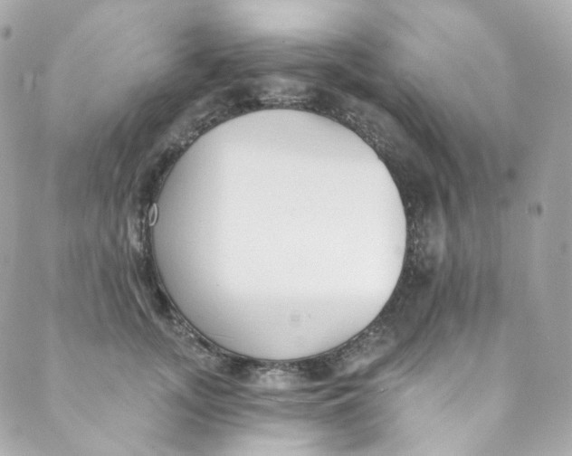 X0000088840755200706281821