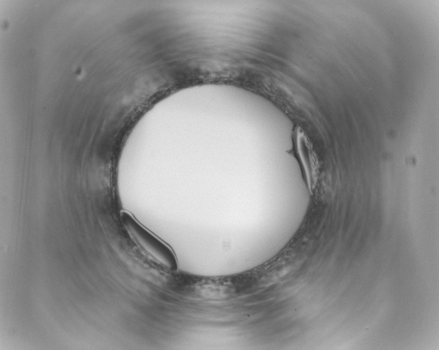 X0000088840756200706281821