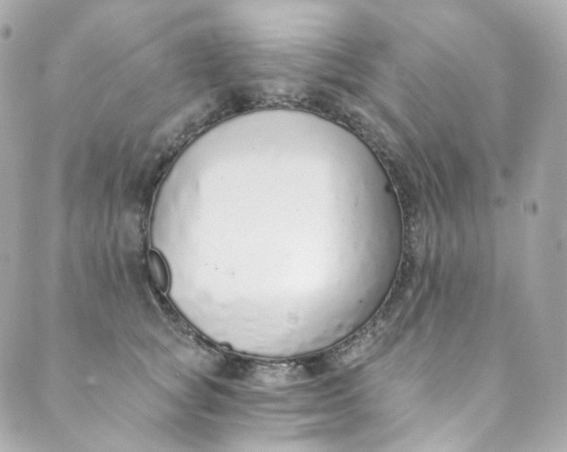 X0000088840757200706281821