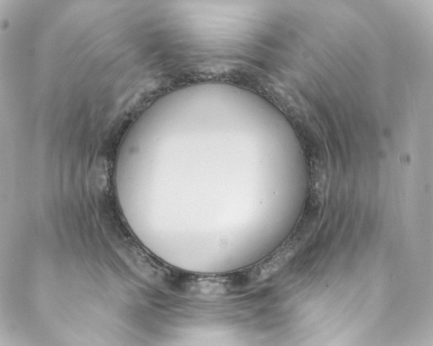 X0000088840758200706281821