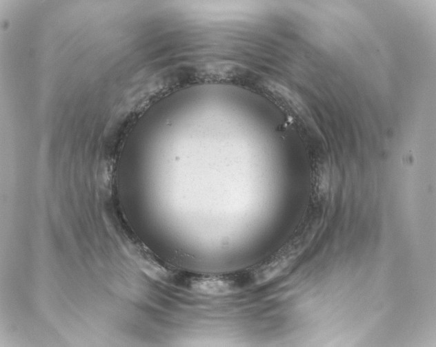 X0000088840759200706281821