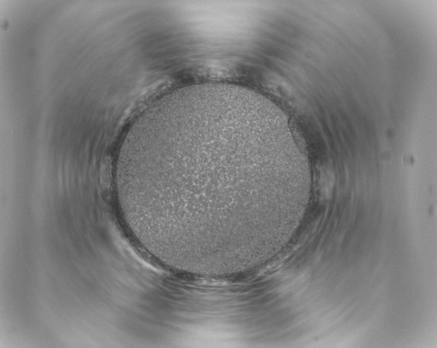 X0000088840760200706281821