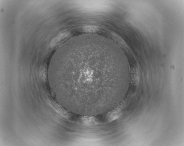 X0000088840762200706281821