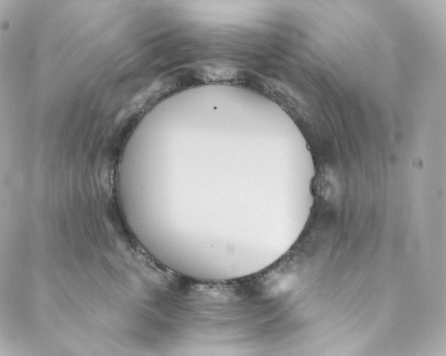 X0000088840763200706281821