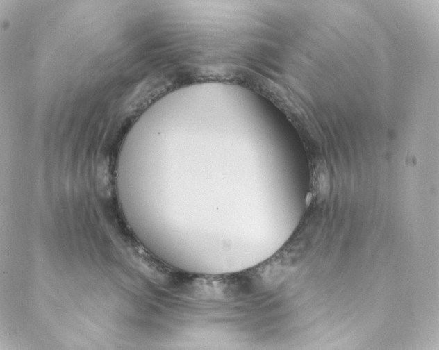 X0000088840764200706281821