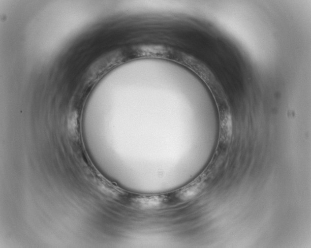 X0000088840765200706281821