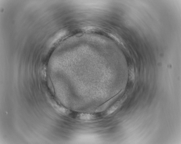 X0000088840766200706281821