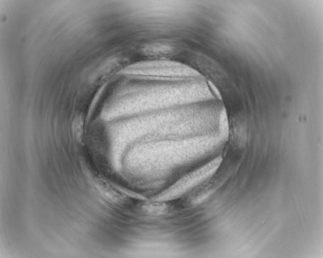 X0000088840767200706281821