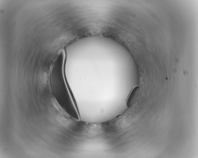 X0000088840768200706281821