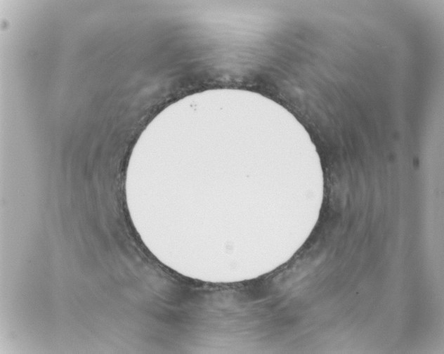 X0000088840769200706281820