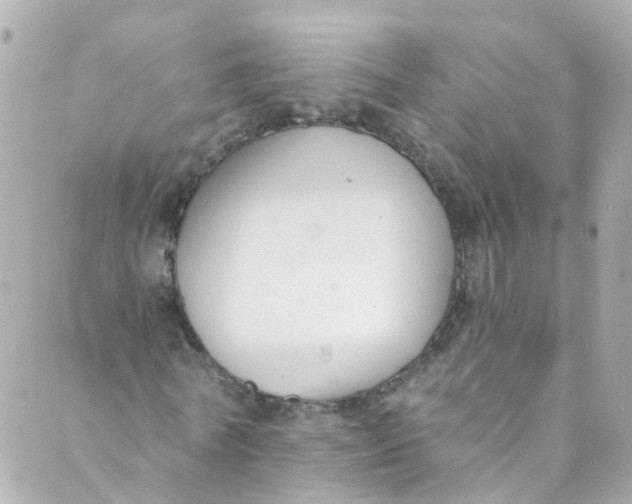 X0000088840770200706281820