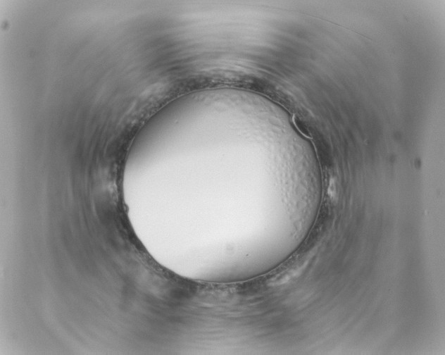 X0000088840771200706281820