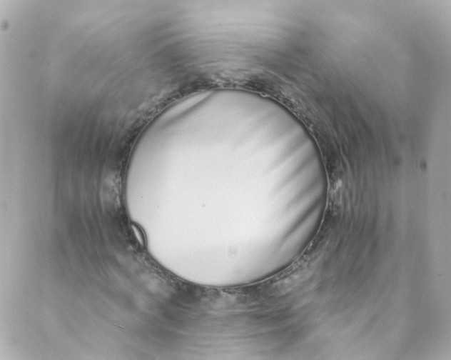 X0000088840772200706281820