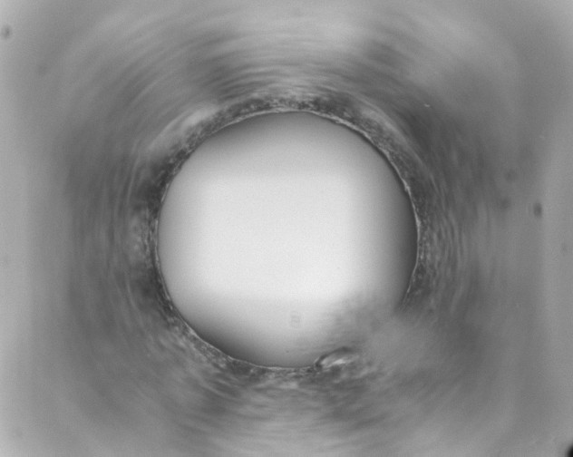 X0000088840773200706281820