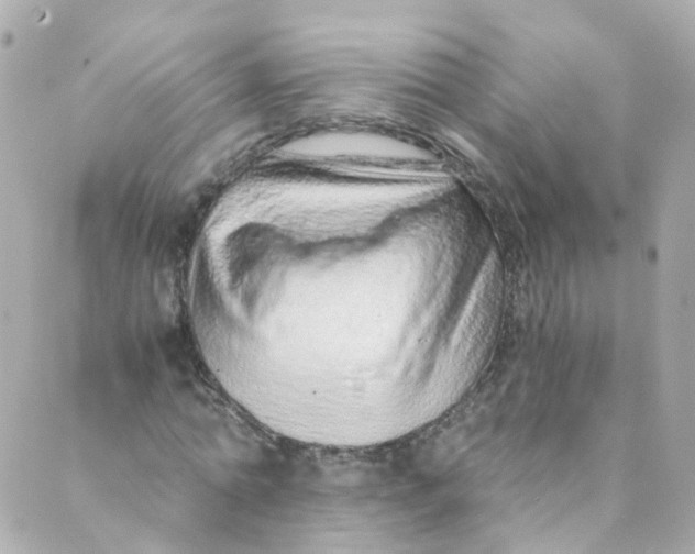 X0000088840774200706281820