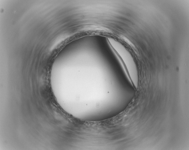 X0000088840775200706281820