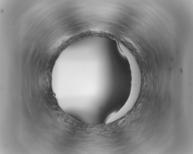 X0000088840776200706281820