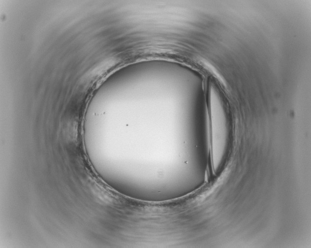 X0000088840777200706281820