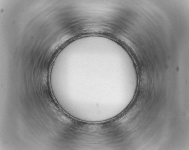 X0000088840778200706281820