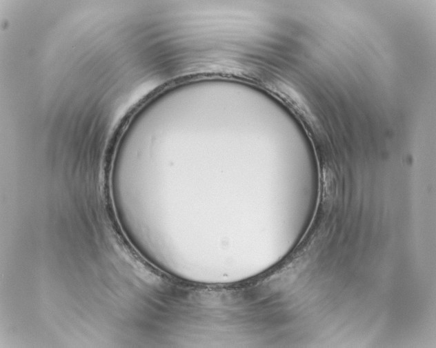 X0000088840780200706281820