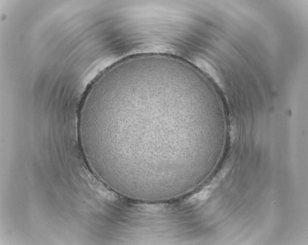 X0000088840781200706281820