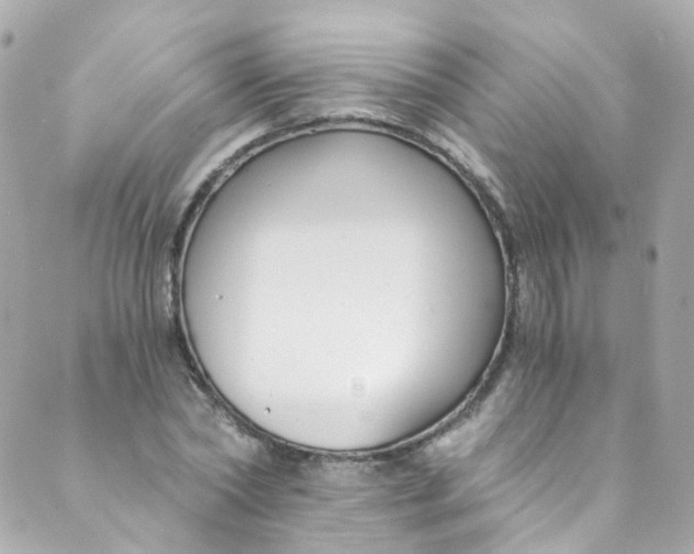 X0000088840782200706281820