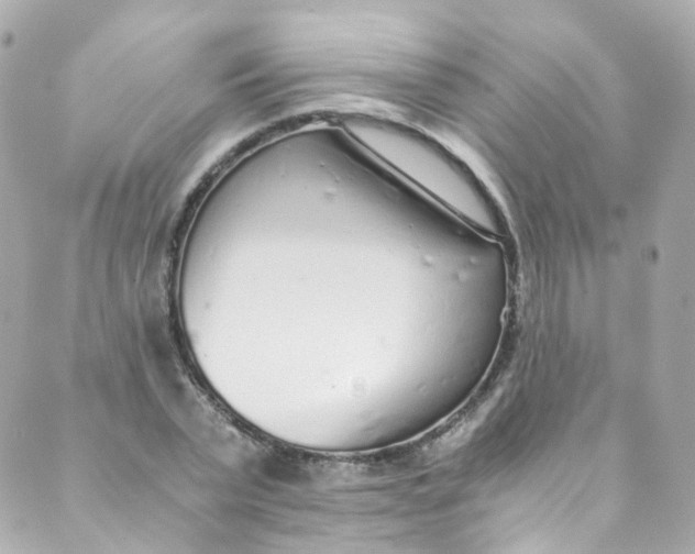 X0000088840783200706281820