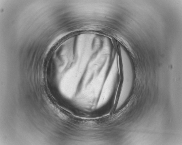 X0000088840784200706281820