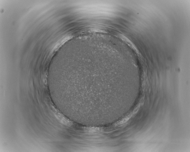 X0000088840785200706281820