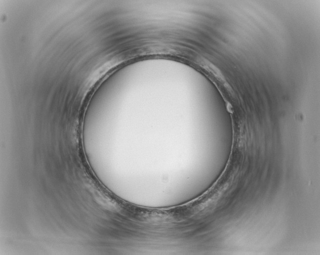 X0000088840786200706281820