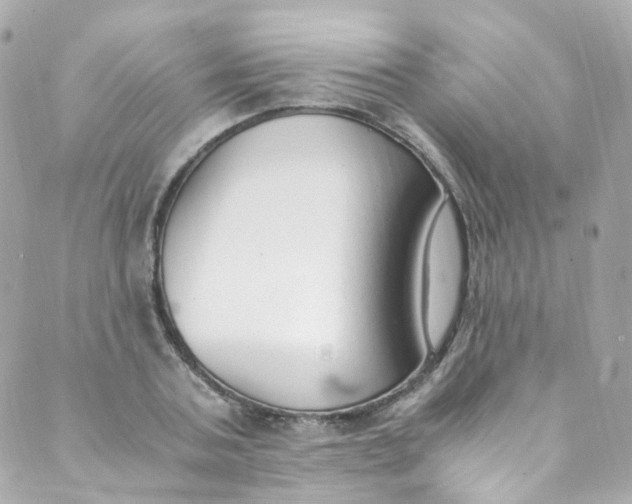 X0000088840787200706281820