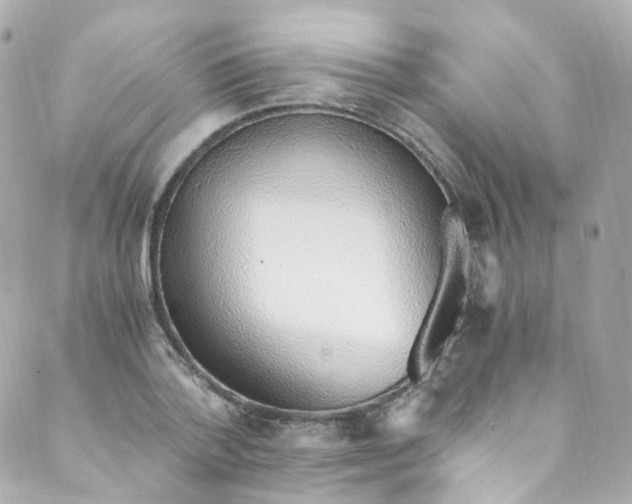 X0000088840788200706281820