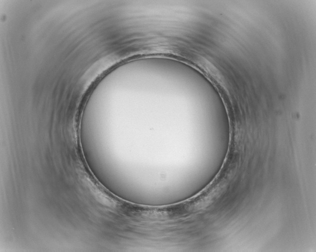 X0000088840789200706281820