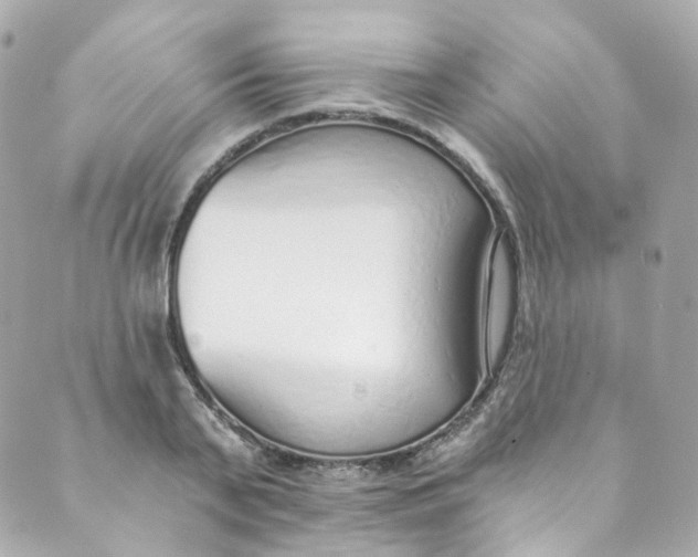 X0000088840791200706281820