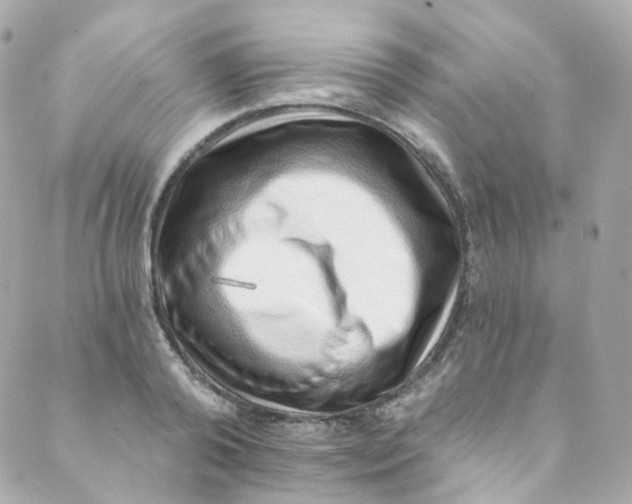 X0000088840792200706281820