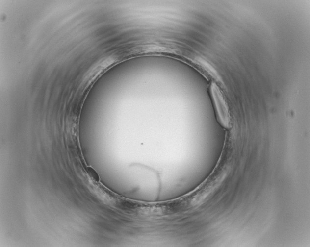 X0000088840793200706281820