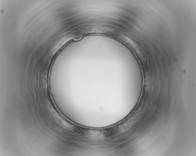 X0000088840794200706281820