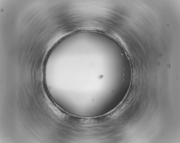 X0000088840795200706281820