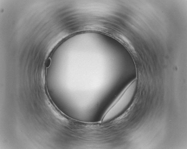 X0000088840796200706281820