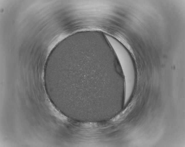 X0000088840797200706281820