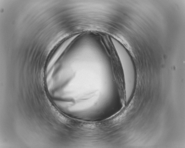 X0000088840798200706281820