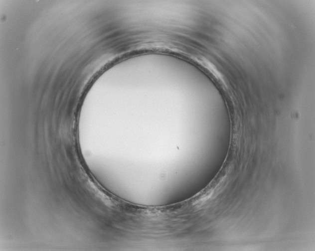 X0000088840799200706281820