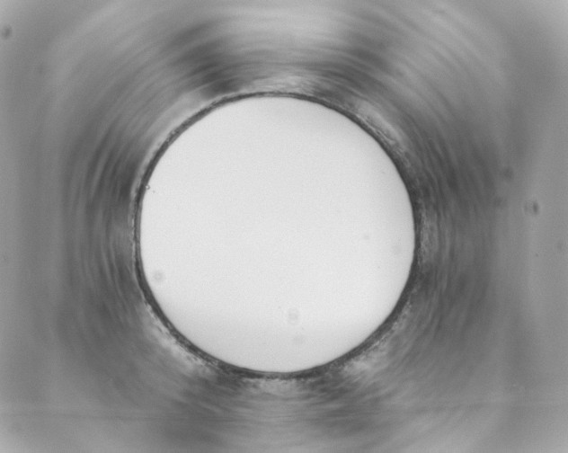 X0000088840800200706281820