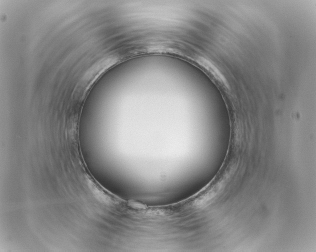 X0000088840801200706281820