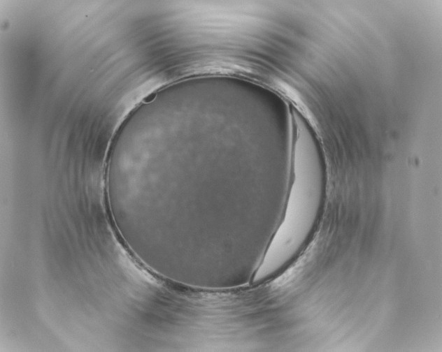 X0000088840802200706281820