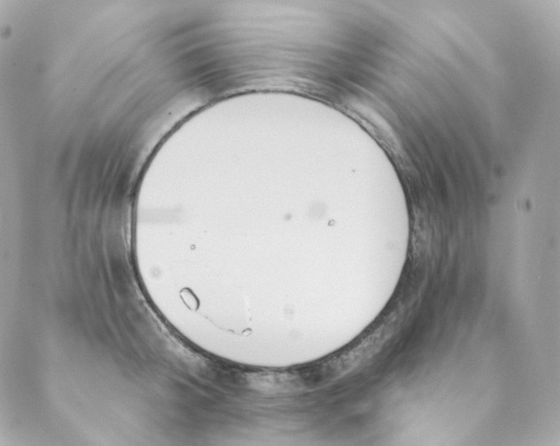 X0000088840804200706281820