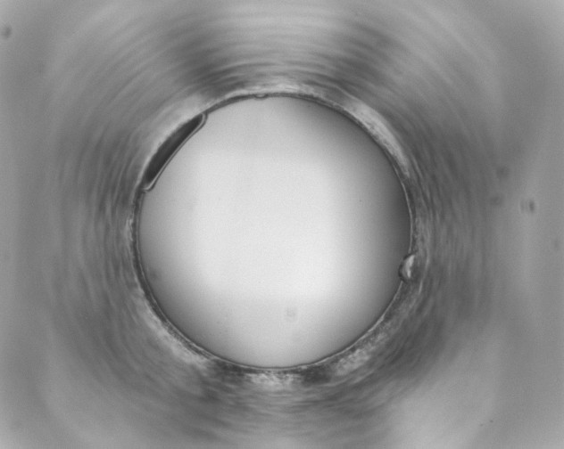 X0000088840805200706281820