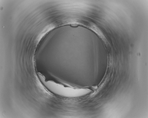 X0000088840806200706281820