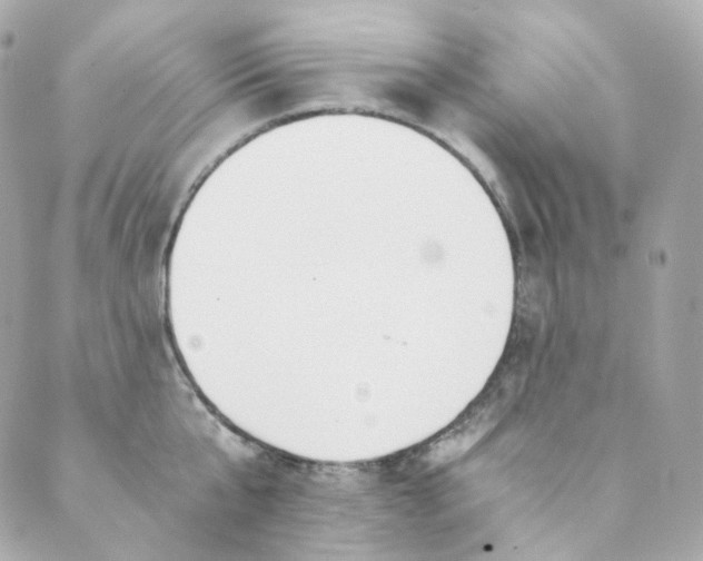 X0000088840807200706281820