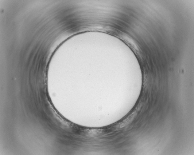 X0000088840808200706281820